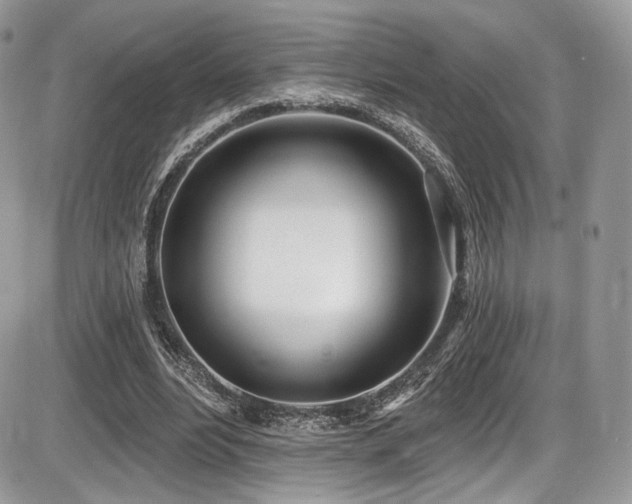 X0000086070488200703231311