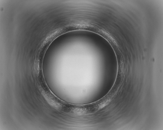 X0000086070494200703231311