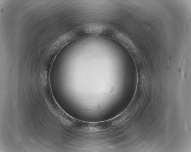 X0000086070498200703231311