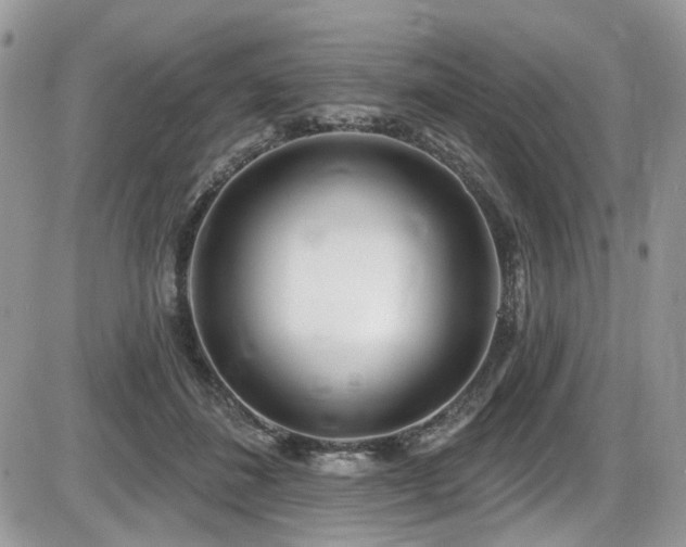 X0000086070508200703231311