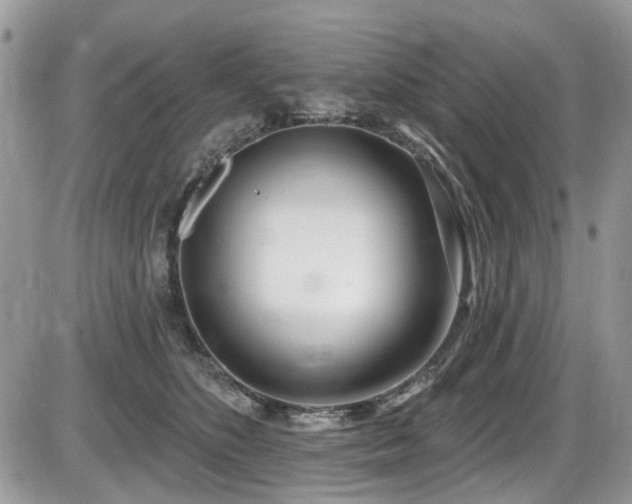 X0000086070516200703231311