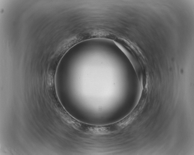 X0000086070517200703231311