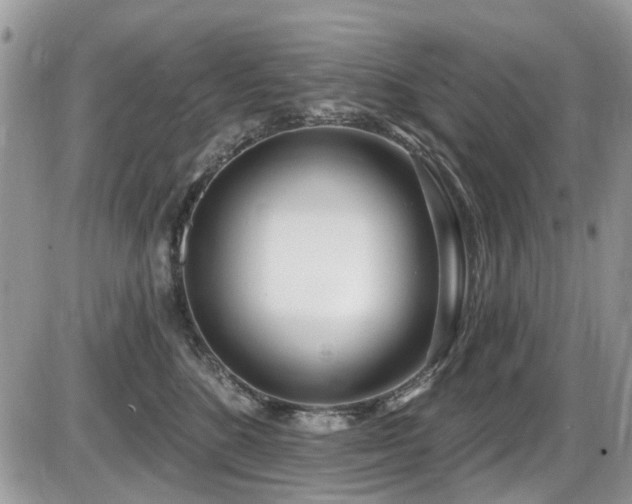 X0000086070520200703231311
