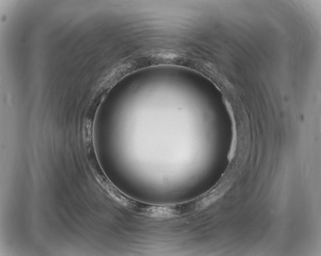 X0000086070528200703231310