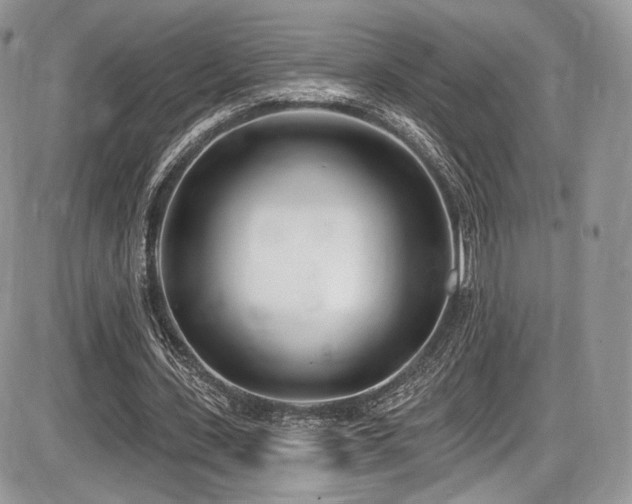 X0000086070531200703231310