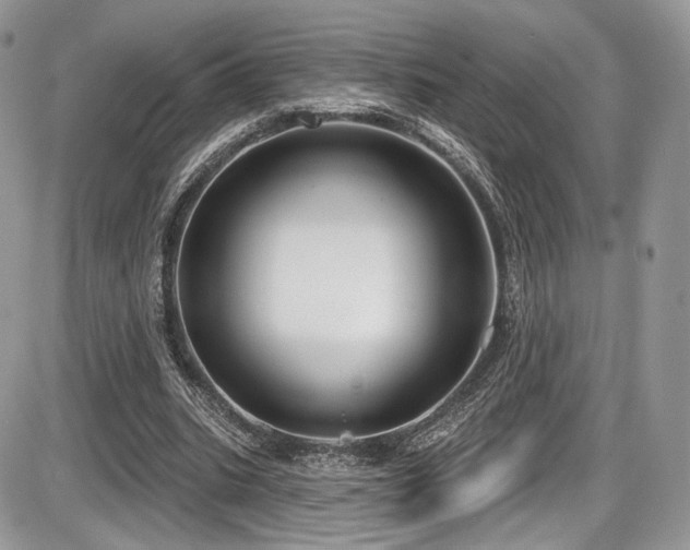 X0000086070535200703231310