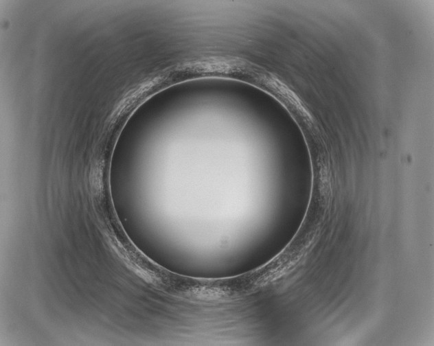X0000086070537200703231310