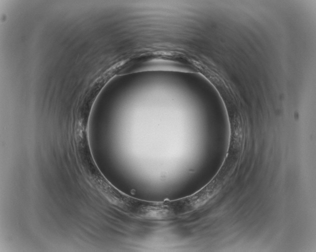 X0000086070555200703231310