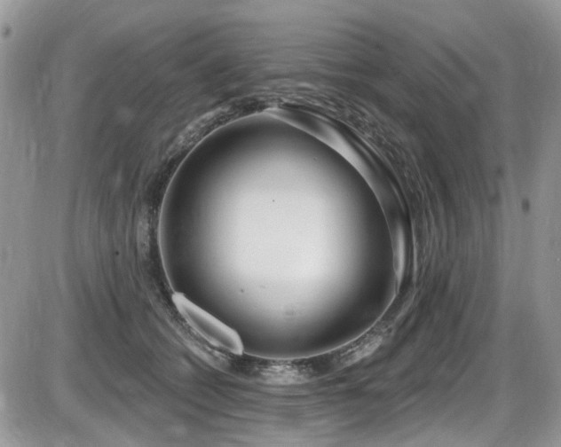 X0000086070562200703231310