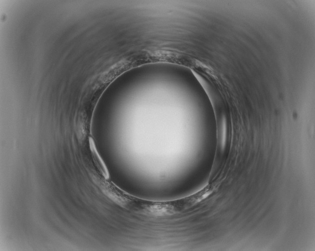 X0000086070566200703231310