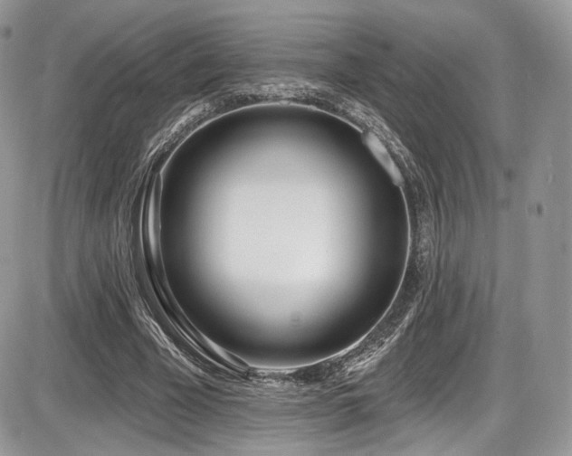 X0000086070585200703231310