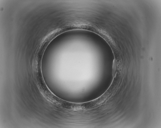 X0000086070587200703231309