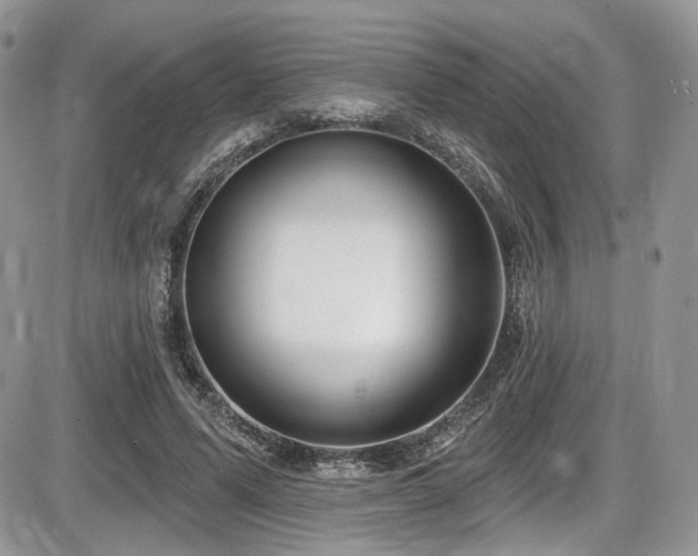 X0000086070591200703231309