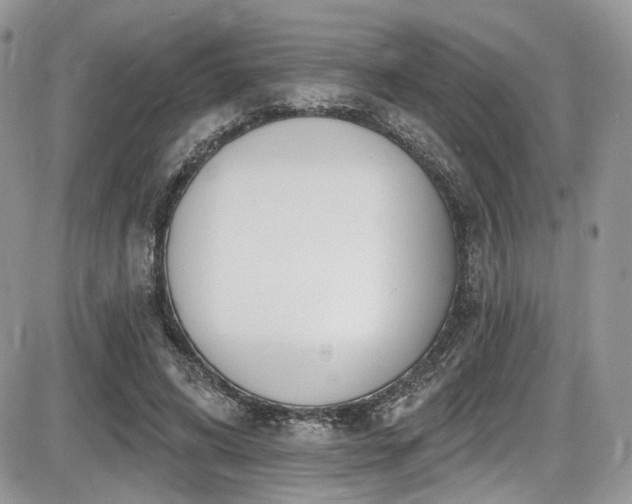 X0000086070592200703231309