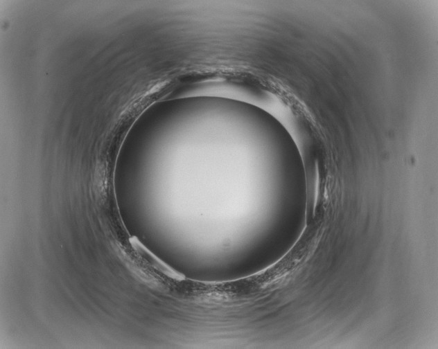 X0000086070593200703231309