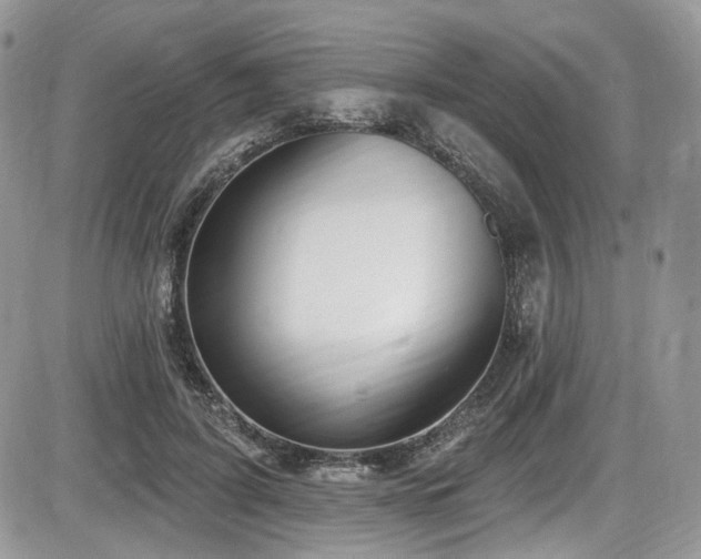 X0000086070595200703231309
