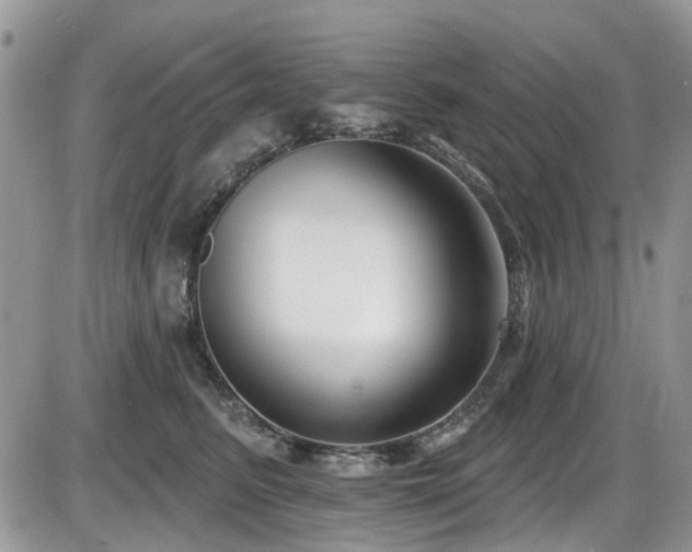 X0000086070615200703231309
