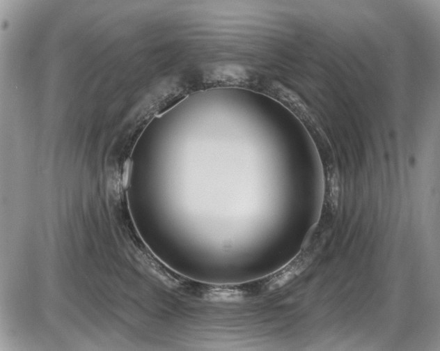 X0000086070617200703231309