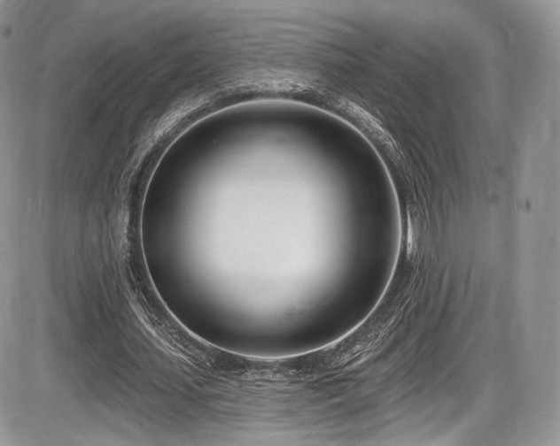 X0000086070627200703231308