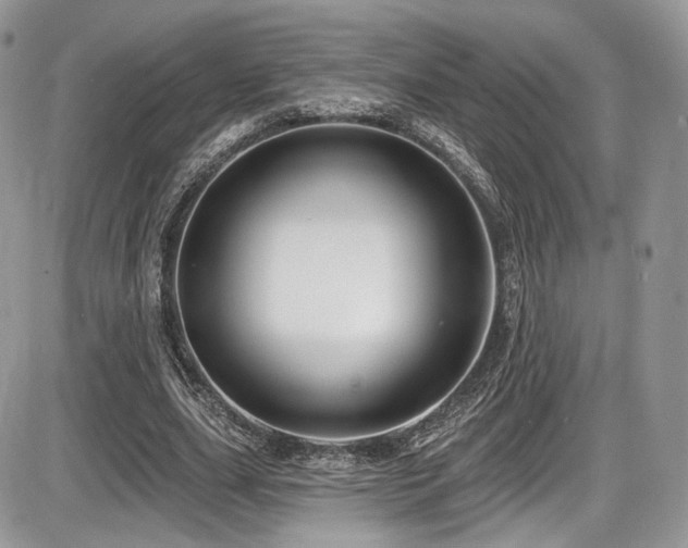 X0000086070631200703231308