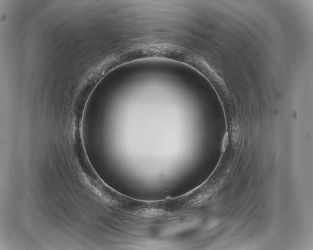 X0000086070637200703231308