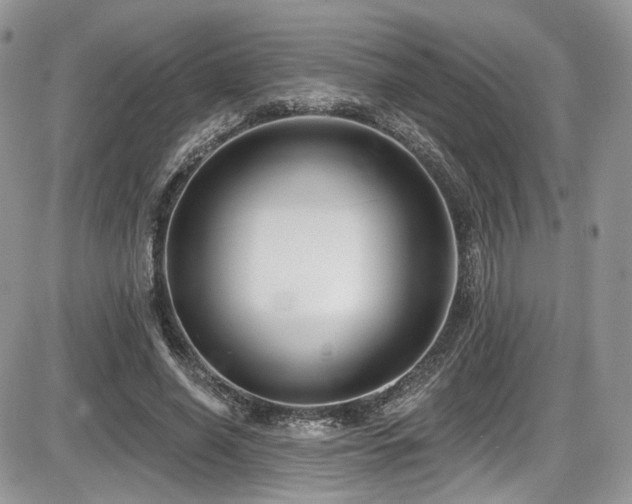 X0000086070638200703231308