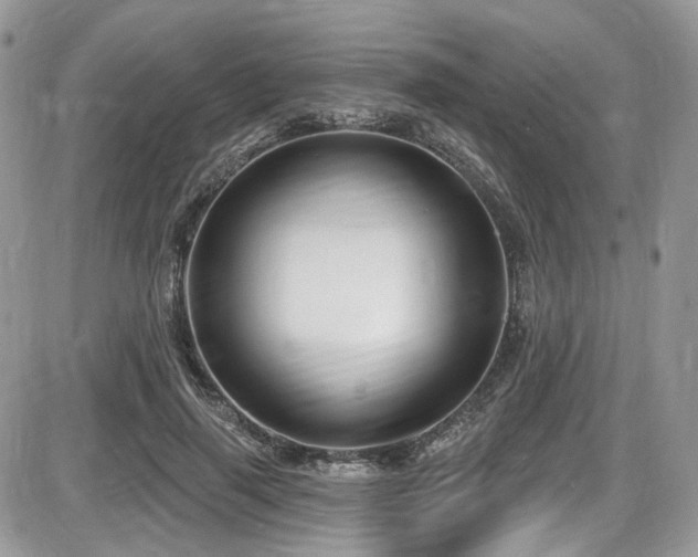 X0000086070645200703231308