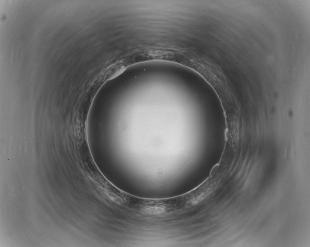 X0000086070653200703231309
