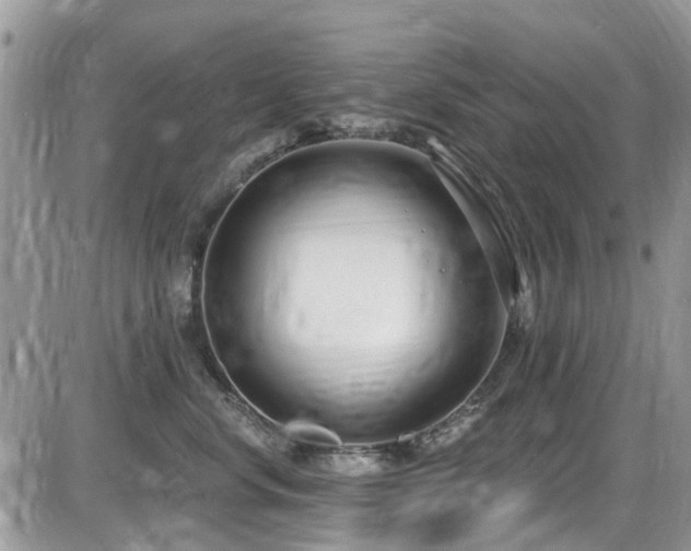 X0000086070668200703231309