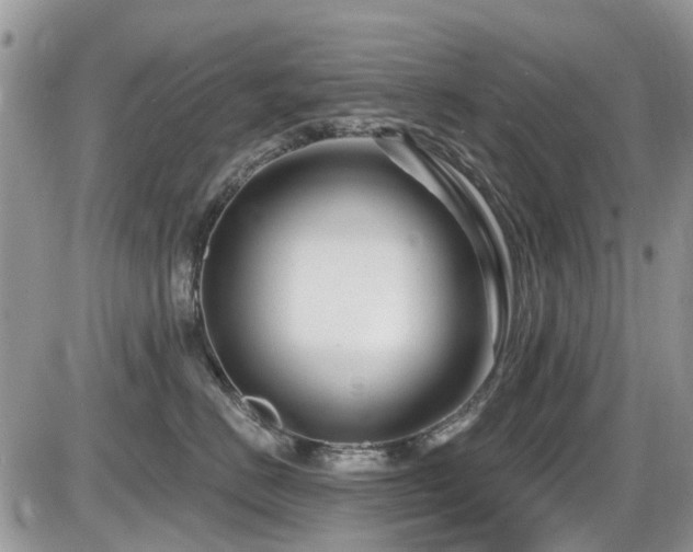 X0000086070670200703231309