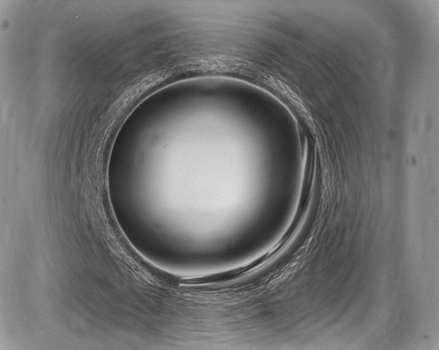 X0000086070673200703231308