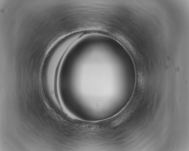 X0000086070676200703231308