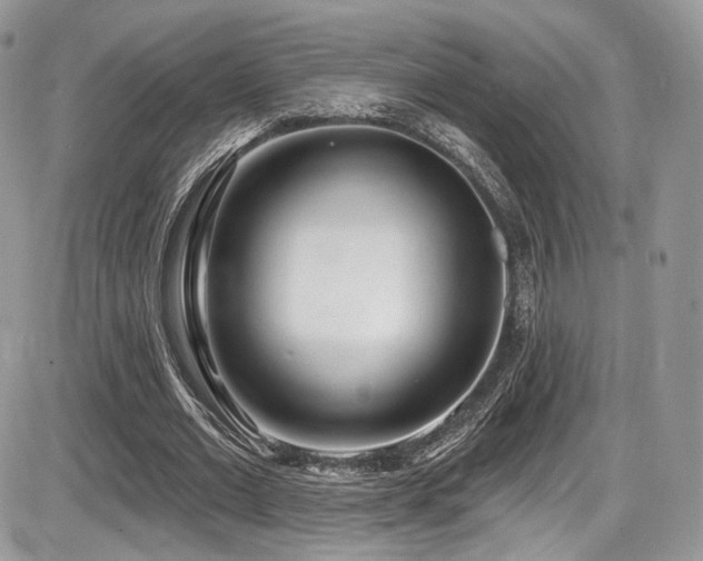 X0000086070677200703231308