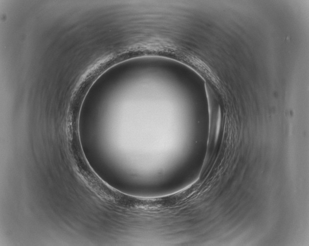 X0000086070680200703231308