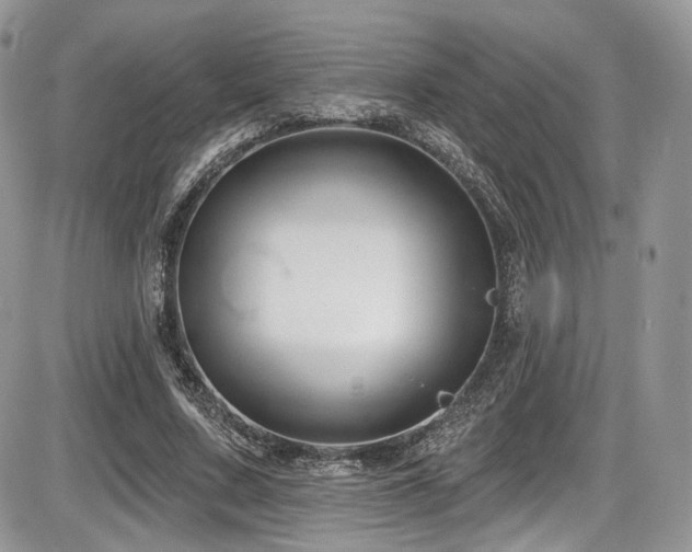 X0000086070683200703231308