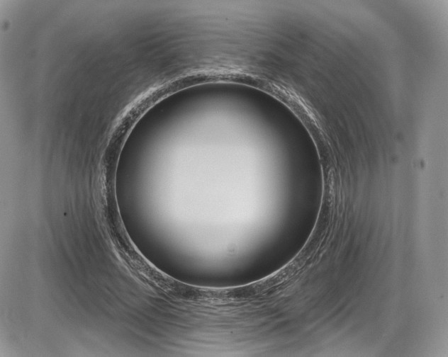 X0000086070684200703231308