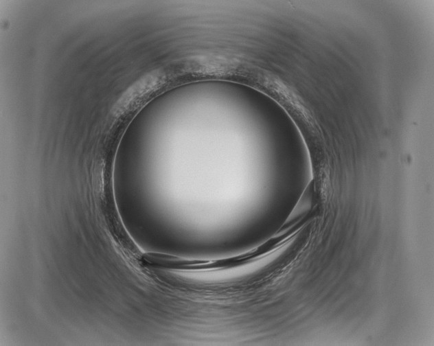 X0000086070685200703231308