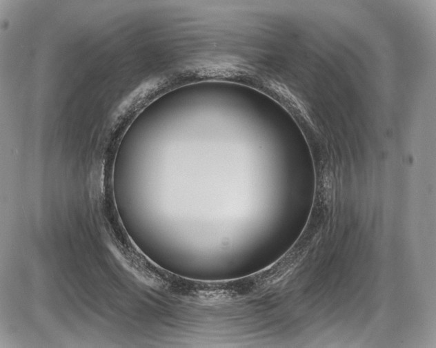 X0000086070686200703231308