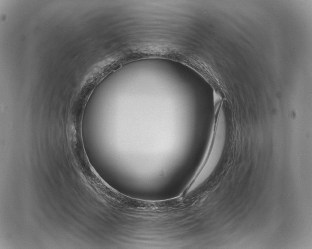 X0000086070688200703231308