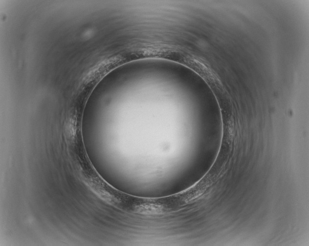 X0000086070691200703231308