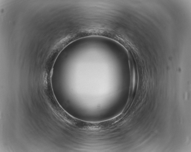 X0000086070692200703231308