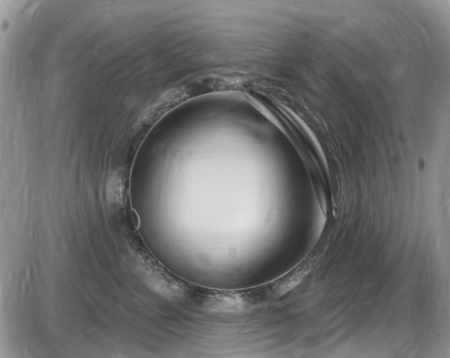 X0000086070715200703231307