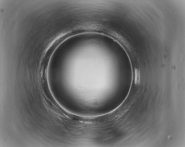 X0000086070723200703231306