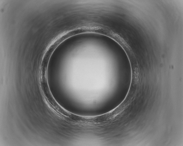 X0000086070726200703231307