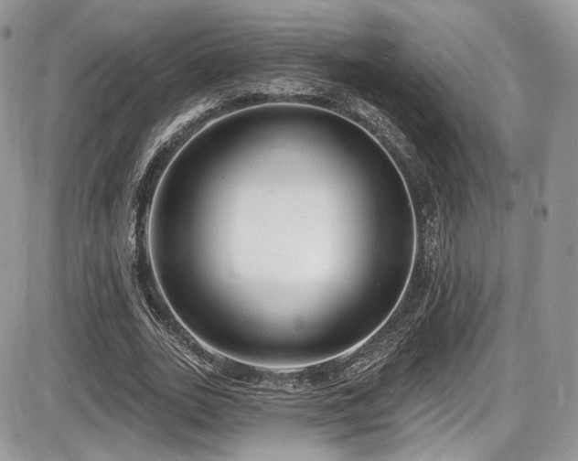 X0000086070727200703231307