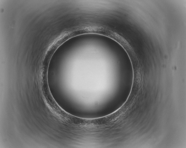 X0000086070730200703231307