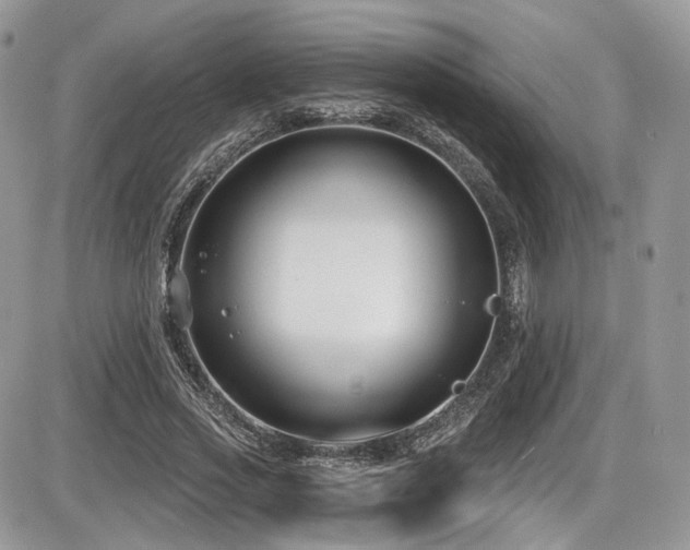 X0000086070733200703231307