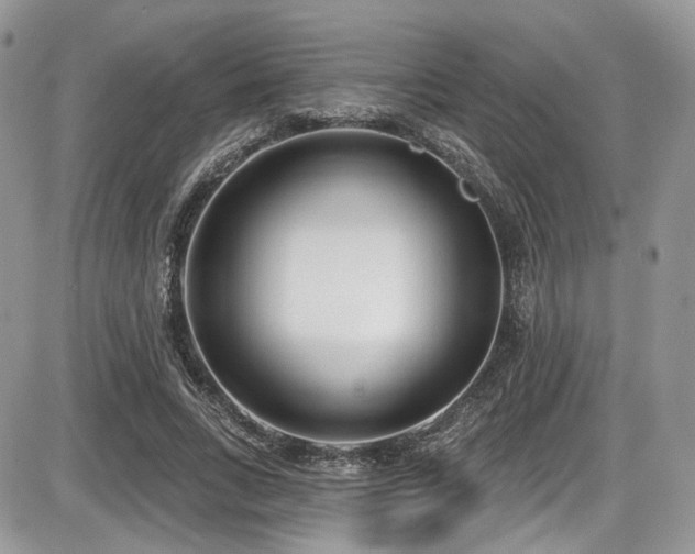 X0000086070735200703231307