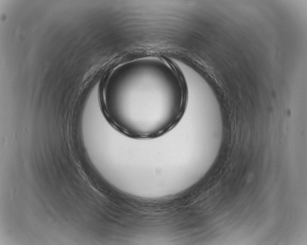 X0000086070740200703231307