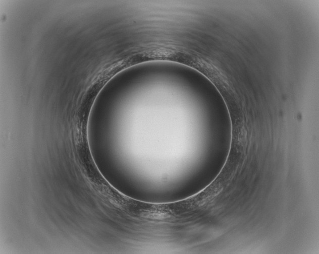 X0000086070743200703231307